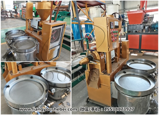 小型多功能榨油機(jī) 小型多功能榨油機(jī)